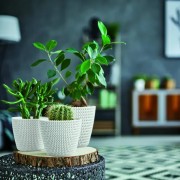 Portavaso da interno per piante e fiori Splofy in polipropilene bianco Prosperplast