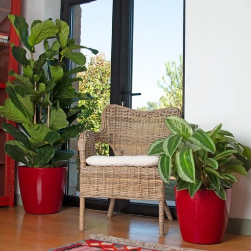Portavaso da interno per piante e fiori Sanremo rosso scuro lucido Artevasi
