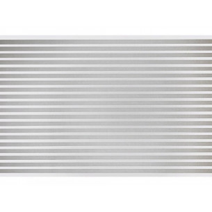 Pellicola-decorativa-per-vetri-e-finestre-Feridras-45cmx2m-riga