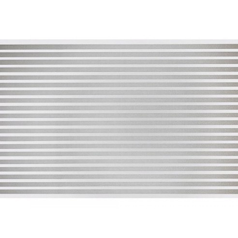 Pellicola-decorativa-per-vetri-e-finestre-Feridras-45cmx2m-riga