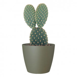 Portavaso da interno per piante e fiori Sanremo verdone 2