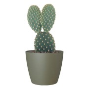 Vaso per piante e fiori Sanremo verdone Artevasi