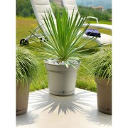 Vaso Hydral con sistema riserva d'acqua e sottovaso, ambientato