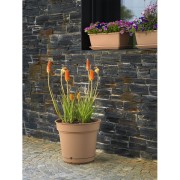 Vaso Hydral con sistema riserva d'acqua e sottovaso, ambientato