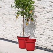 Vaso Hydral con sistema riserva d'acqua e sottovaso, ambientato