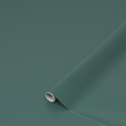 Pellicola adesiva per mobili Uni Verde Germano reale opaco D-c-fix