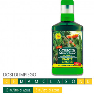 Nutrimento cactus piante grasse concime CE 200ml Blumen 2