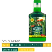 Nutrimento cactus piante grasse concime CE 200ml Blumen dosi impiego