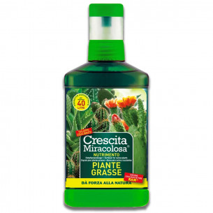 Nutrimento cactus piante grasse concime CE 200ml Blumen