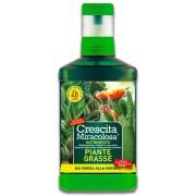 Nutrimento cactus piante grasse concime CE 200ml Blumen