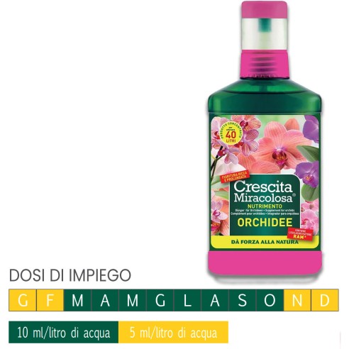 Nutrimento orchidee crescita miracolosa concime CE 200ml Blumen dosi di impiego