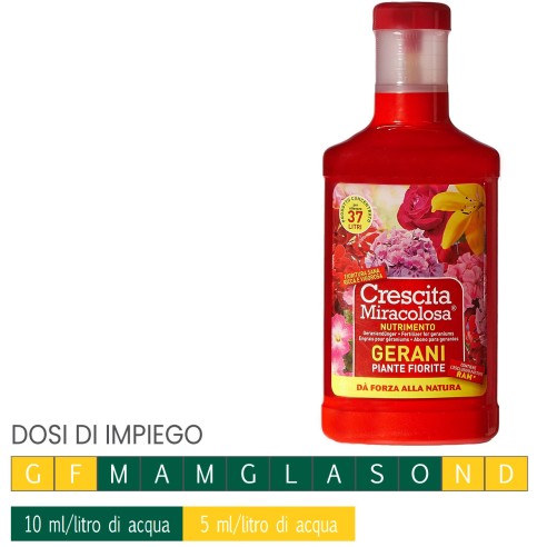 Nutrimento gerani piante fiorite crescita miracolosa concime CE 375ml Blumen dosi di impiego