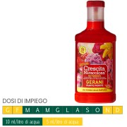 Nutrimento gerani piante fiorite crescita miracolosa concime CE 375ml Blumen dosi di impiego