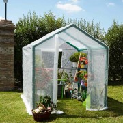 Serra da giardino Verdemax Violetta L200xP200xH220 cm