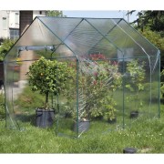 Serra da giardino Verdemax Narciso per piante orto L185xP240xh205 cm