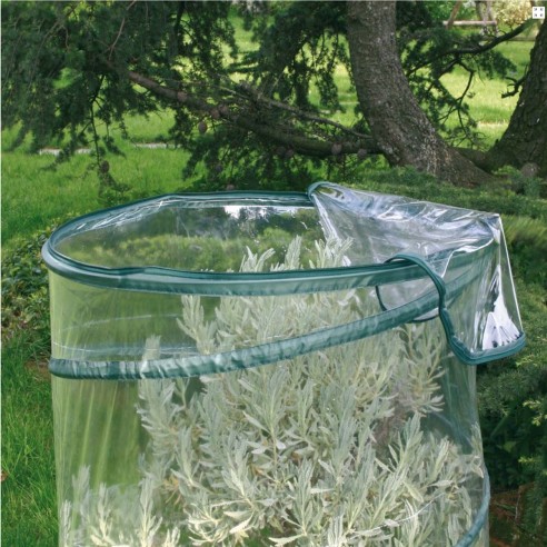 Serra da giardino Verdemax Pop-Up Anthurium Ø 70 x H100 cm apertura
