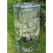 Serra da giardino Verdemax Pop-Up Citrus Ø 90 x H150 cm