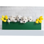 Pellicola adesiva per mobili Velluto verde 45cmx1m d-c-fix ambientata