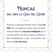 Disincrostante liquido per ferri a vapore 250 ml Nuncas