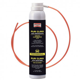 Igienizzante Puri clima professionale impianto climatizzazione auto Arexons 4135