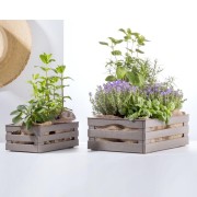 Bama cassetta milleusi Tina antracite