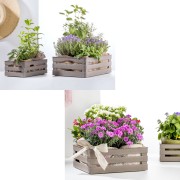 Bama cassetta milleusi Tina antracite