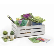 Bama cassetta milleusi Tina panna