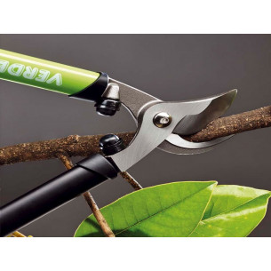 Troncarami-forgiato-Verdemax 2