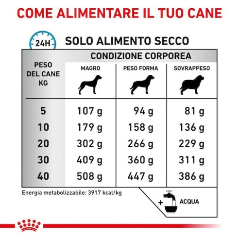 Royal Canin Anallergenic alimento secco per cani 3Kg