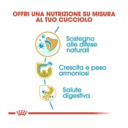 Royal Canin Labrador Retriever Puppy crocchette per cane 12kg