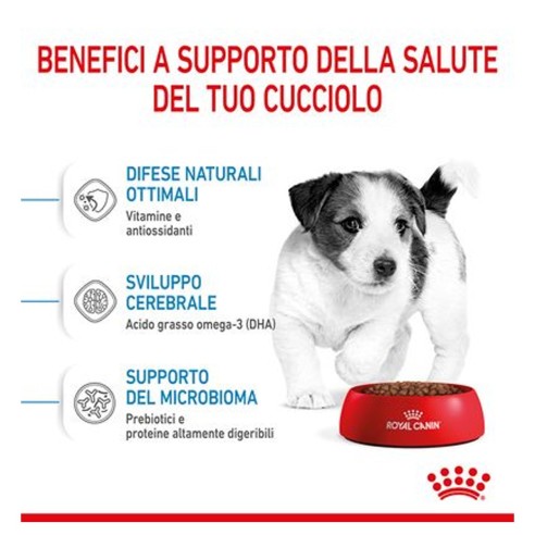 Royal Canin Puppy Mini crocchette per cuccioli 2-10 mesi