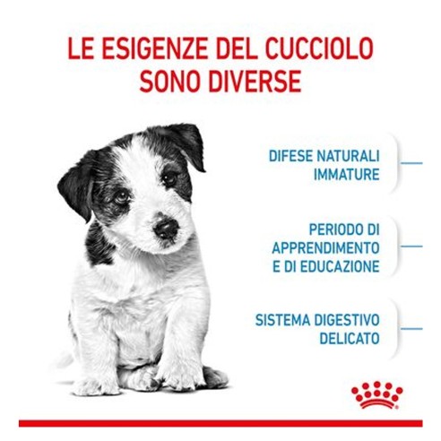 Royal Canin Puppy Mini crocchette per cuccioli 2-10 mesi