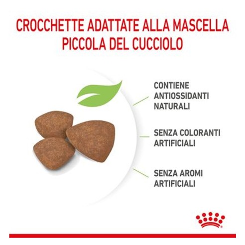 Royal Canin Puppy Mini crocchette per cuccioli 2-10 mesi