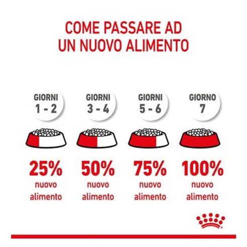 Royal Canin Puppy Mini crocchette per...