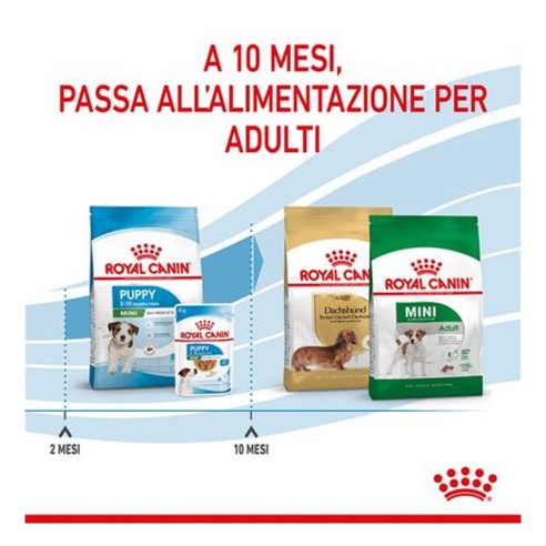 Royal Canin Puppy Mini crocchette per...