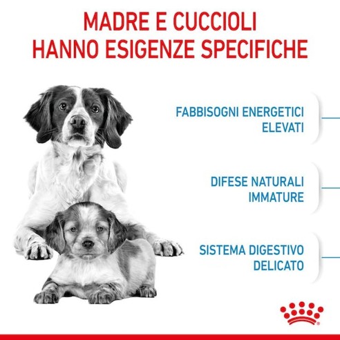 Royal Canin STARTER Mother e BabyDog...