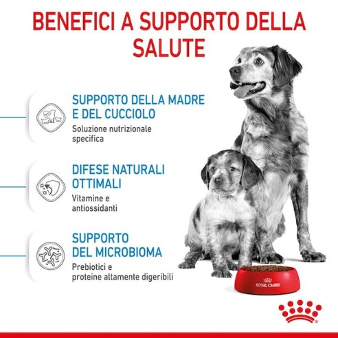 Royal Canin STARTER Mother e BabyDog...