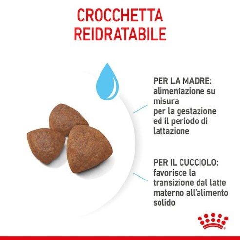 Royal Canin STARTER Mother e BabyDog...