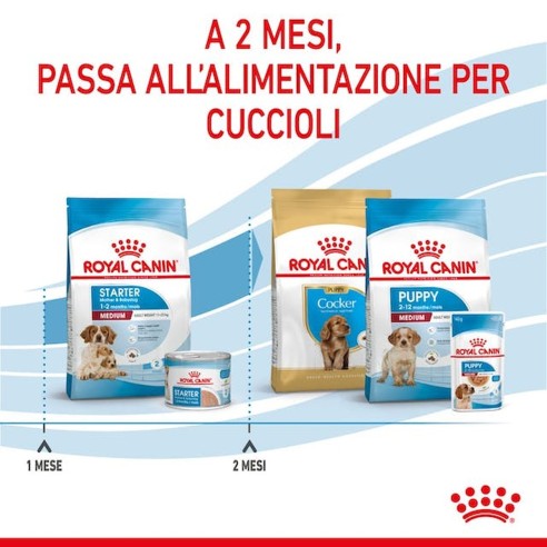 Royal Canin STARTER Mother e BabyDog...