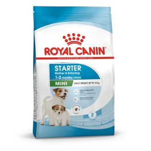 Royal Canin Mini STARTER Mother & Babydog MINI alimento secco cani 1kg