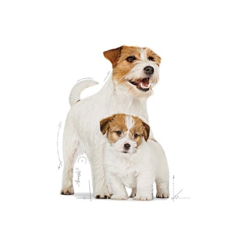 Royal Canin Mini STARTER Mother &...