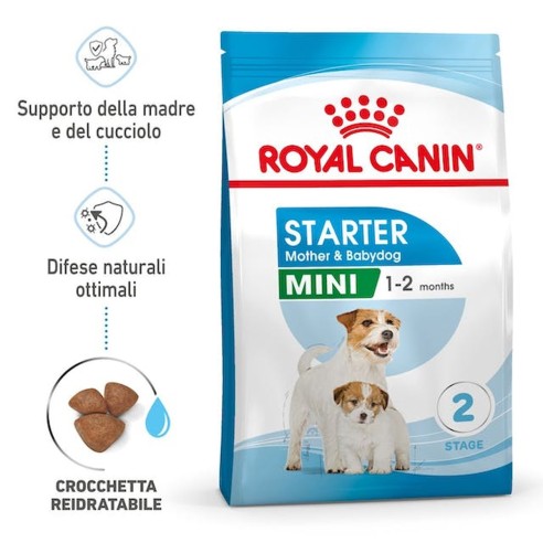 Royal Canin Mini STARTER Mother & Babydog MINI alimento secco cani 1kg