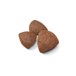 Royal Canin Mini STARTER Mother & Babydog MINI alimento secco cani 1kg 2