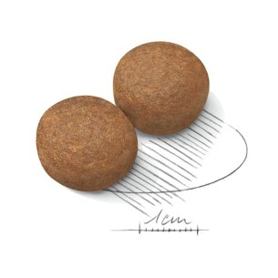 Royal Canin MAXI Adult alimento secco per cani 2