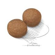 Royal Canin MAXI Adult alimento secco per cani