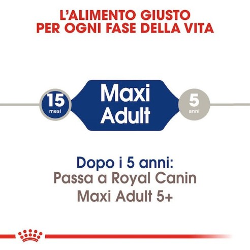 Royal Canin MAXI Adult alimento secco...