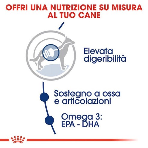 Royal Canin MAXI Adult alimento secco...