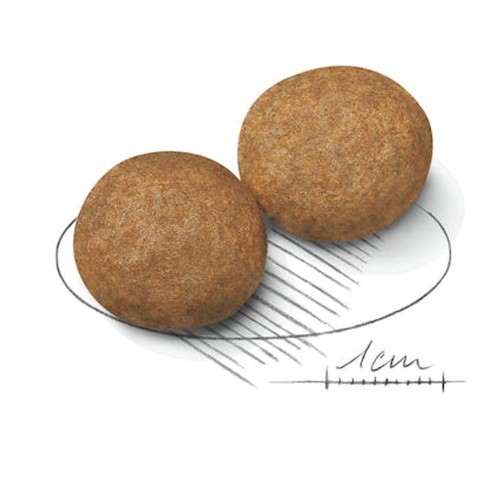 Royal Canin Medium Adult alimento secco per cani crocchetta