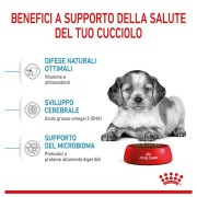 Royal Canin Puppy Medium alimento secco per cani
