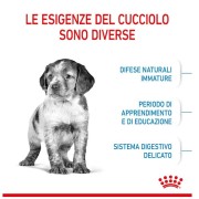 Royal Canin Puppy Medium alimento secco per cani